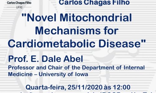 Novel Mitochondrial Mechanisms for Cardiometabolic Disease