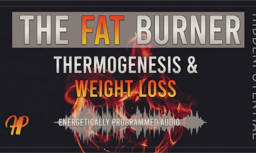 The Fat Burner: Increase Thermogenesis and Boost your Metabolism (Energetically Programmed Audio)