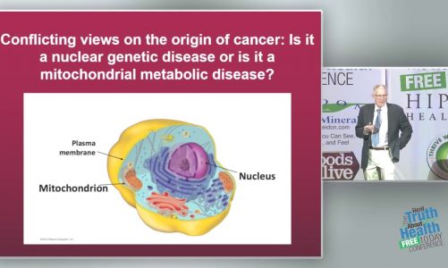 Cancer as a Mitochondrial Metabolic Disease: Implications for Novel Therapeutics by Thomas Seyfried