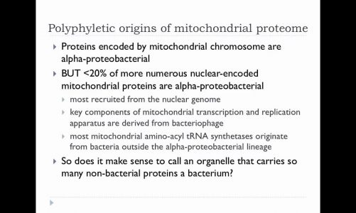 Time to recognise that mitochondria are bacteria?
