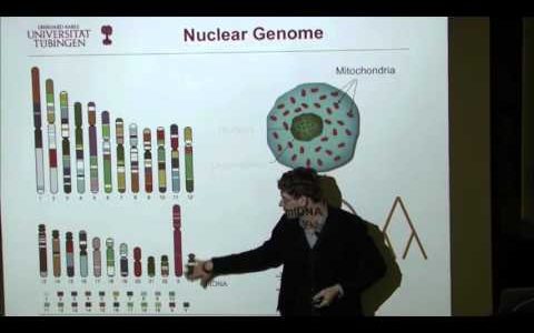 Ancient Human Genomes…Present-Day Europeans – Johannes Krause