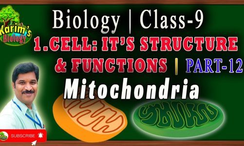 Class-9 || Biology || Cell: It's structure and Functions || Part-12 || Mitochondria