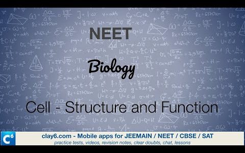NEET – Biology – Cell – Structure and Function