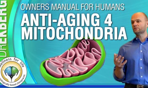Anti-Aging Pt 4 – Mitochondria  – User Manual For Humans S1 E20