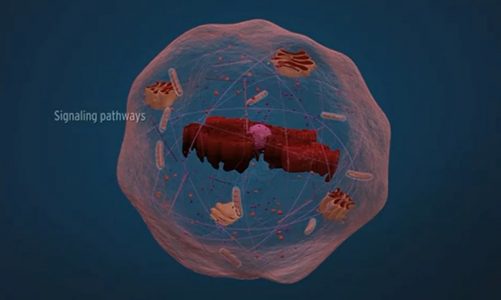 Bioelements – Biochemistry / 3d animation | Explained !
