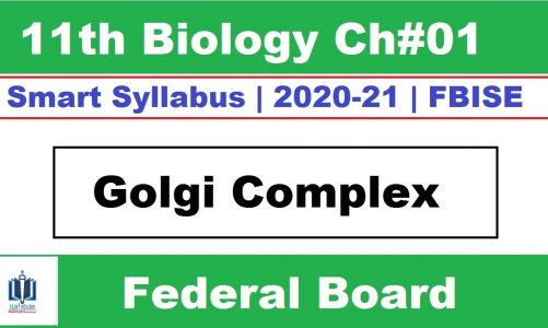 Golgi Complex Class 11 Biology, Golgi bodies  structure and functions, Ilmi Stars Academy