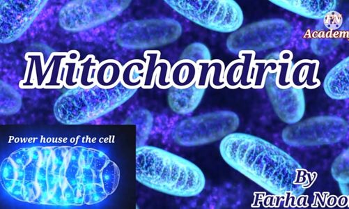 Cell organelle | Mitochondria -Power house of the cell | Structure & Function | Biology | Farha Noor