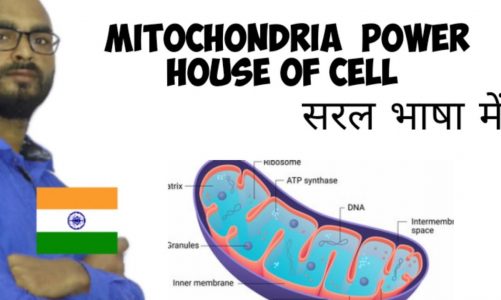 Mitochondria power house of cell #UPSC #PCS # SSC # Indian