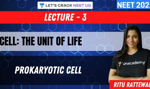 Cell: The Unit of Life – Prokaryotic Cell | Part 2 | NEET 2021 | NEET Biology | Ritu Rattewal