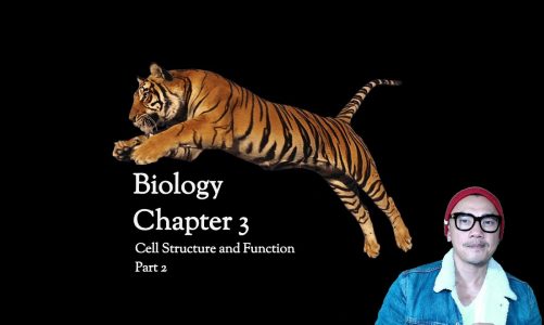 Biology Chapter 3 Part 2 Screencast v2