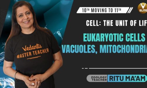 Cell:The Unit of Life -6 | Eukaryotic Cells -Vacuoles and Mitochondria | 10th Moving To 11th