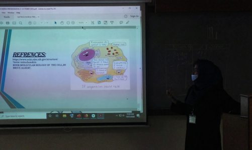 Presentation II   Mitochondrial Diseases