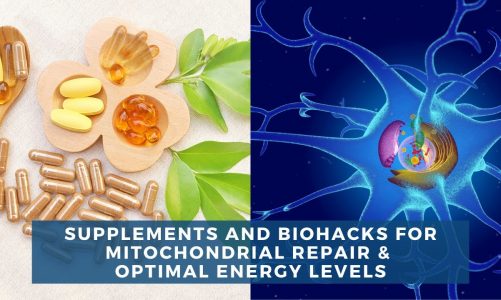 Supplements and Biohacks For Mitochondrial Repair & Optimal Energy Levels