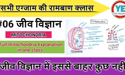 #06 | Mitochondria Structure And Functions | Power House of cell | माइटोकांड्रिया की खोज, सरंचना,