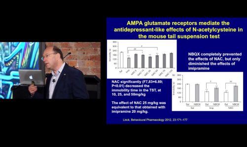 Glutathione, Oxidative Stress and N-Acetylcysteine (NAC) in Psychiatric Disorders – Prof Berk