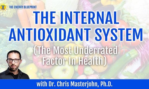 The Internal Antioxidant System w/ Dr. Chris Masterjohn Ph.D. & Ari Whitten