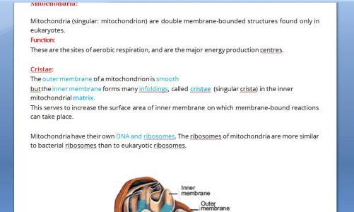 Now we study about MITOCHONDRIA