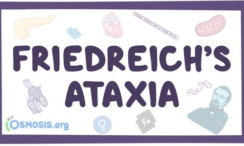 Friedreich’s ataxia – causes, symptoms, diagnosis, treatment, pathology