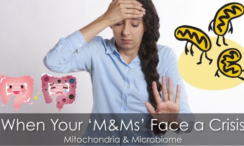 Your Mitochondria & Microbiome  Do They Need a 'Tune Up'? | HSL#9