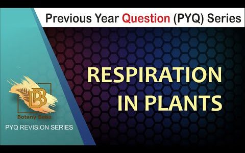 Respiration in Plants PYQ Series for NEET | Class 11 Biology | Previous Year Questions Series NEET