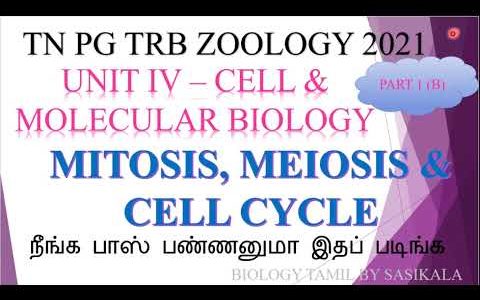 TN PG TRB ZOOLOGY -CELL &MOLECULAR BIOLOGY CELL CYCLE , MITOSIS&MEIOSIS IN BIOLOGY TAMIL BY SASIKALA