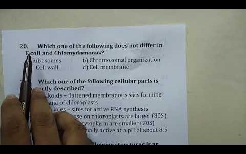22 06 2021 Biology Cell  structure and functions Part 2