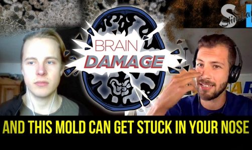 Does Your House Have Hidden Toxic Mold That Shrinks Your Brain