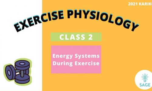 Energy Systems During Exercise