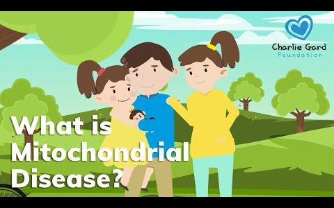 What Is Mitochondrial Disease || The Charlie Gard Foundation & who we are
