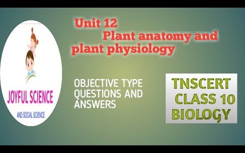 UNIT 12. CLASS 10. BOOK BACK QUESTIONS AND ANSWERS.  PLANT ANATOMY AND PLANT PHYSIOLOGY.