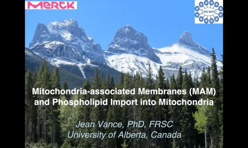 Professor Jean Vance – Mitochondria-associated membranes and phospholipid import into mitochondria