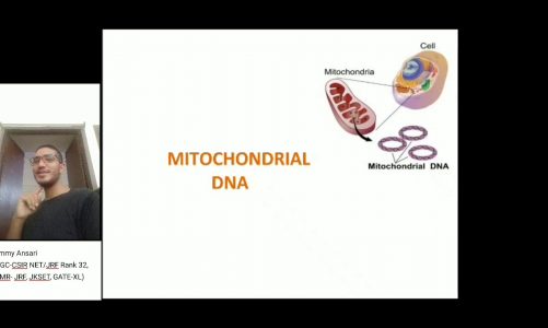 L6 | Mitochondria DNA (mtDNA) | Diseases linked with mitochondrial dysfunction.
