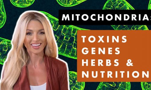 Mitochondria: toxins, genes, herbs, and nutrition (2021)