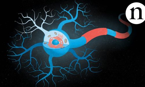 Inside ALS: The neurons behind the disease