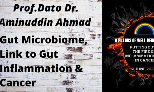 Gut Microbiome, Link to Gut Inflammation & Cancer