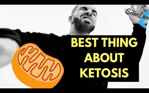 The BEST Thing About the Ketogenic Diet (Ketosis and Mitochondria)