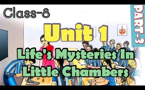Basic Science/Class 8/Life's Mysteries In Little Chambers/Part 3/State syllabus/Standard 8/Unit 1