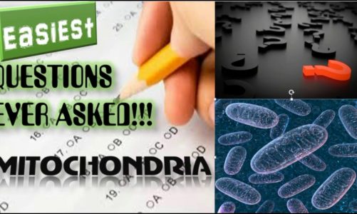 Mitochondria | Easiet Questions ever asked in various Medical exams |