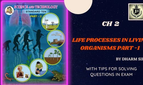 #10th#Life Processes in Living Organisms 1#CetExamMCQ Question|#11thAdmission|#Science2Chapter 2