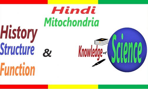 What is mitochondria Structure and Function | Biology | |  Hindi  |  Cell #5