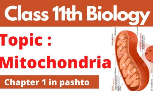 FSC Biology part 1, Mitochondria, Cha 1 in pashto | Home of biology