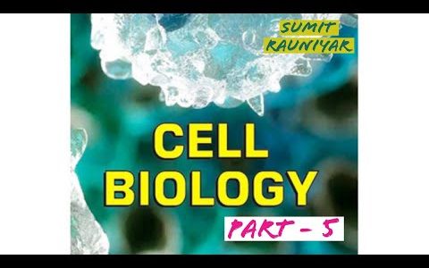 Cell Biology | Part 5 | Mitochondria & Plastid | SUMIT RAUNIYAR | NEB & CEE
