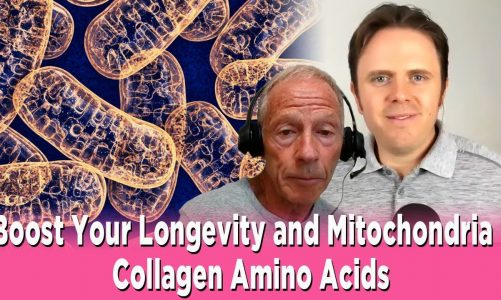 Boost Your Longevity and Mitochondria – Collagen Amino Acids with Dr. Friedlander Podcast | #256