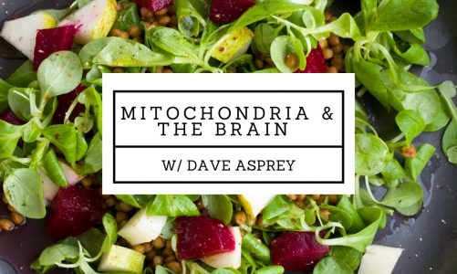 Mitochondria & the Brain w/ Dave Asprey