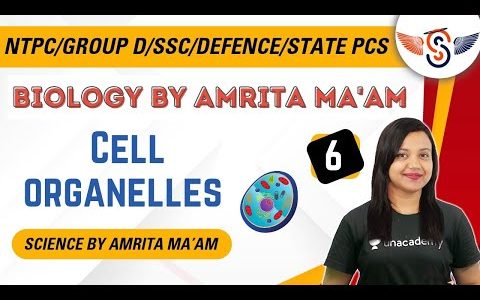 6 PM – RRB NTPC/Group D, SSC, Defence, State PCS | Biology by Amrita Ma'am | Cell Organelle
