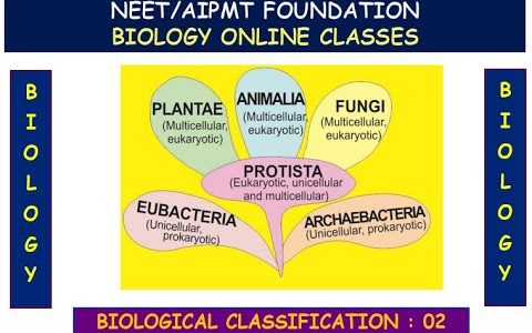 8TH || TOPPERS' || BIOLOGY || BIOLOGICAL CLASSIFICATION || PART 02