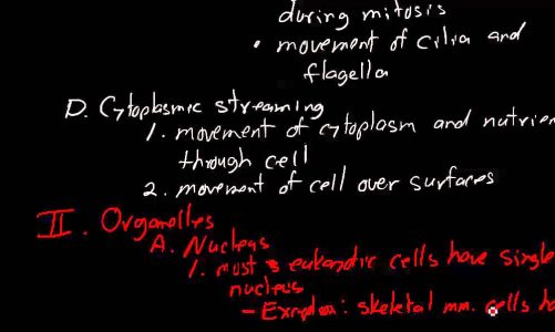 10 12 2015 12 34 42 PM chapter 4 eukaryotic cell structure symbiosis end chapter 4