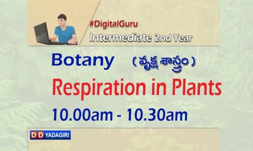 2nd Inter Botany || Respiration In Plants-1 || Intermediate Education || July 16, 2021
