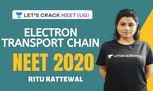 Electron Transport Chain | Plant Respiration – NCERT Review | NEET 2020 | Ritu Rattewal