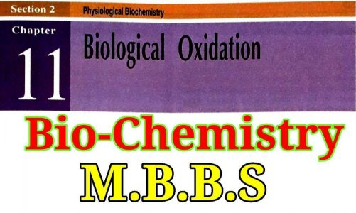 Biological Oxidation_D.M.L.T_BIOCHEMISTRY_Chapter-11